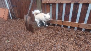 朝のお時間 2019/10/16