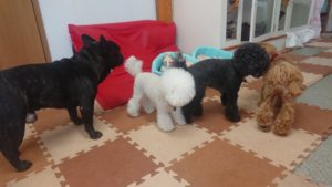 お昼のお時間 2019/10/16