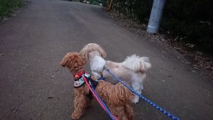 夜のお時間 2019/10/16