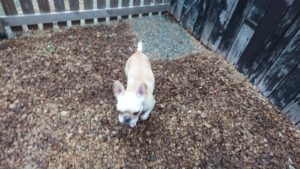 朝のお時間 2019/10/16