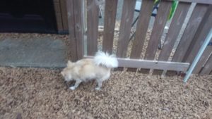 夜のお時間 2019/10/16