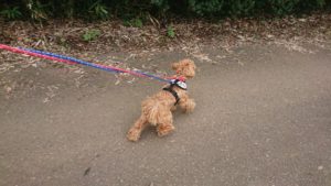 朝のお時間 2019/10/17