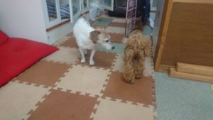 昼のお時間 2019/10/17