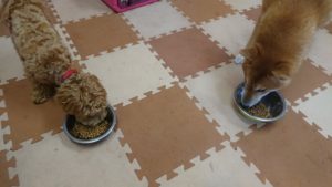 朝のお時間 2019/10/18