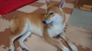 午後のお時間 2019/10/18