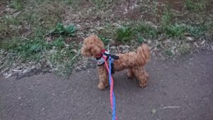 夜のお時間 2019/10/18