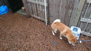 昼のお時間 2019/10/19