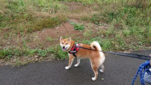 そうげいちゅ～ 2019/10/20