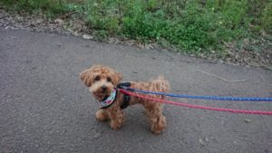 夜のお時間 2019/10/20