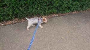 朝のお時間 2019/10/21