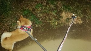 夜のお時間 2019/10/21