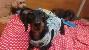 犯人は！！ 2019/10/22