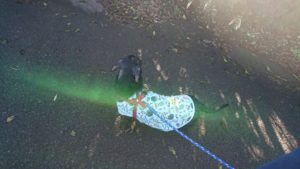 朝のお時間 2019/10/23