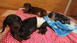 昼のお時間 2019/10/23