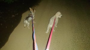 夜のお時間 2019/10/23