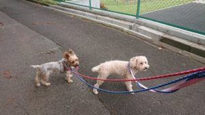 朝のお時間 2019/10/24