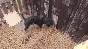 昼のお時間 2019/10/24