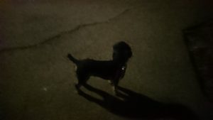 夜のお時間 2019/10/24