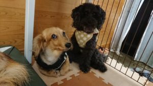 ぉおおぉお！ 2019/10/25