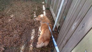 朝のお時間 2019/10/26