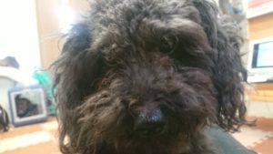 昼のお時間 2019/10/26