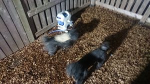 ふぇえ～  2019/10/26