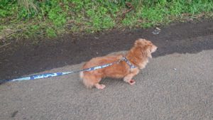 朝のお時間 2019/10/27