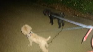 夜のお時間 2019/10/27