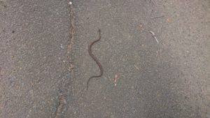 朝のお時間 2019/10/28