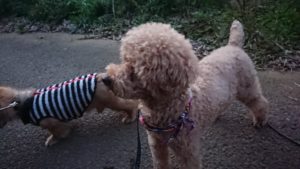 夜のお時間 2019/10/28