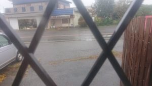 午後のお時間 2019/10/29