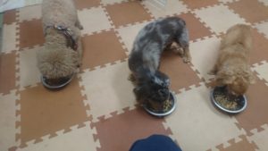 夜のお時間 2019/10/29