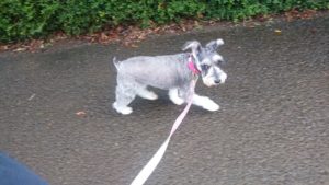 朝のお時間 2019/10/30