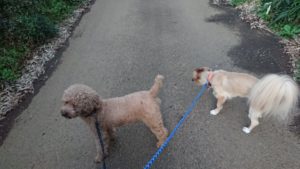 夜のお時間 2019/10/30