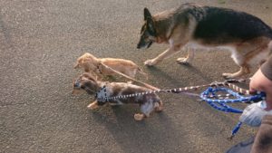 朝から送迎中  2019/10/31