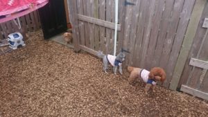 昼のお時間 2019/10/31