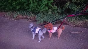 夜のお時間 2019/10/31