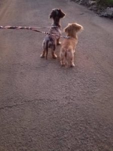 夜のお時間 2019/11/1