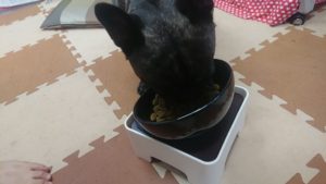 午後のお時間 2019/11/3