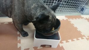 昼のお時間 2019/11/4