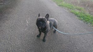 夜のお時間 2019/11/4