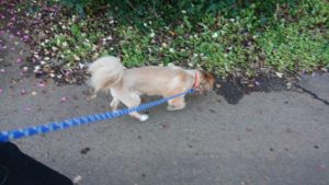 朝のお時間 2019/11/5