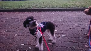 夜のお時間 2019/11/5