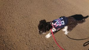 朝のお時間 2019/11/6