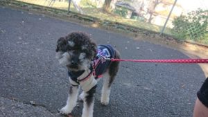 朝のお時間 2019/11/7