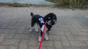 夜のお時間 2019/11/7