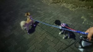 夜のお時間 2019/11/8