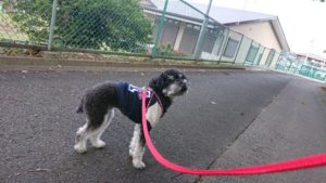 朝のお時間 2019/11/9