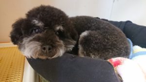 昼のお時間 2019/11/9