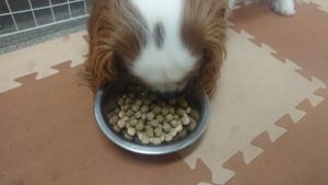 夜のお時間 2019/11/9